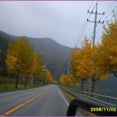 2008.11.2일 도락산(충북 단양) 산행사진 이미지