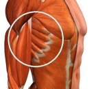 더 세이짐 이미지