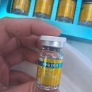 한국바이오영농조합 | 30일 기적 미백앰플 엑소바이오 EXOBIO 솔직후기 노필터