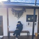 스테이돌담