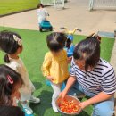 강담어린이집 이미지