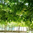 사저공개 강아지 수영장 난리났다ㄷㄷ 헌법재판관 3명! 잼프 의중 무섭다!! (이준석 난리났다! ) 이미지