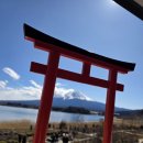 동경(180) | 후지산 당일 투어 2026 벚꽃 시즌 도쿄 출발 프라이빗 단독 차량 코스 및 예약 후기