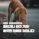 미드저니 디스코드 웹용, 필수 초간단 기능설명