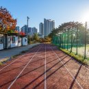 도안문화공원풋살장 이미지