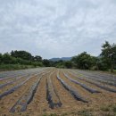 기북면사무소 이미지