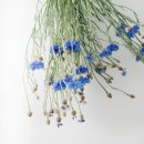 감성을 그리는 프랑스 자수 이미지