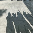 인천세관 | 인천공항세관 인턴 후기