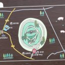 금오름 가는 길 이미지