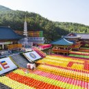 삼광사 이미지