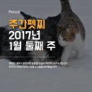 (주)펫찐