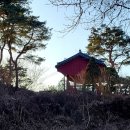 이제신선생 신도비 이미지
