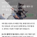 강아지 입마개 관련해서 방금 강형욱 블로그에 올라온 글 이미지