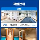 카멜리아 이미지