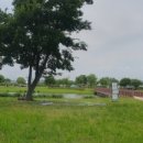 낙동강관리본부 화명생태공원 3 이미지