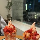 블루메디 이미지