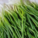 고평마을회관 이미지