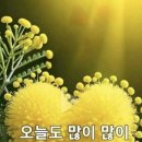 미래병원 이미지