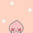 찬미피아노음악학원 이미지