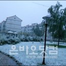 처음처럼 민박 네이버블로그