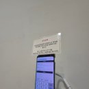 디온조명 | 시흥셀프사진관 후기 배곧 유일 색상지 변경 가능한 디온스튜디오 가족촬영