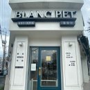 광주강아지분양 블랑펫 네이버블로그