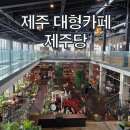 억새풀농장 | [제주 애월 대형카페] 제주당 베이커리 &amp; 새별오름 뷰 완벽 공략 후기