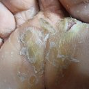 벽송식당 이미지