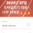 더운여름+하반기 대회 준비에 신기 좋은 런닝화 3개 ㅊㅊ 이미지