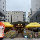 태백수족관 | 수원 야장 맛집 인계동 나혜석거리 야장 술집 추천 태백상회 인계본점 광어회 솔직후기