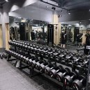 위스테이 휘트니스 삼전점 | 삼전역 헬스장 추천! 위스테이 피트니스 삼전점, 신부 다이어트 꾸준히 다니는 리얼 후기