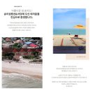 송이섬펜션 | 전라남도홈페이지제작 송이섬펜션제작후기!!