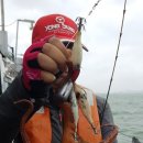 피싱스토리 이미지