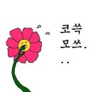 의외로 정석이었던 이탈리아식 피자 자르는 방법(feat. 미국) 이미지