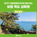 한국식 전통정원을 바다와 함께 걷는 죽도 상화원 이미지