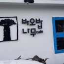 바오밥나무 민박 Daum카페