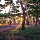 황성공원 이미지