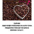 다운다방 이미지