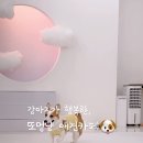 또멍냥 이미지