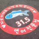 삼십일점오(31.5) 이미지