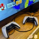 나니아 플스방 이미지