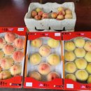 세지농장 이미지