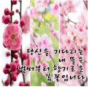 봄을 기다리는 -인사말 이미지 이미지