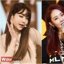 그루밍나인 이미지