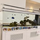 동성카서비스 | 미야코지마 가성비 오션뷰 리조트 숙소 후기｜다다미방·침대방 비교 &amp; 장단점 정리, 가족여행 추천