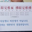 뿔난돼지 이미지