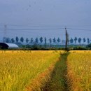 우치공원 이미지