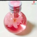 다사라 이미지
