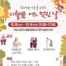 꽃 음악회 이미지