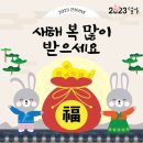 머슬원핏배곧 이미지